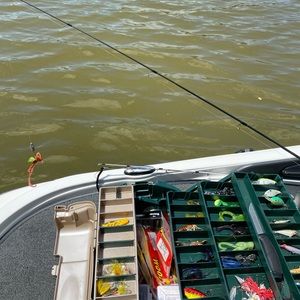 Meet your Posher, Reggie